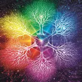 Magnolia Puzzle 7 Dimensions de l'Esprit - 1023 Teile Puzzle
