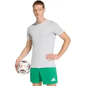 Adidas T-Shirt fonctionnel 'Entrada26' gris clair / blanc