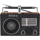 Datel Radio Frisky RD-70 (AM, FM), Radio, Marron