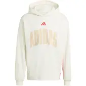 Adidas Sweat à Capuche Stadium Graphic