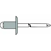 Kippers Rijssen K12 4 X 8 Mm Rivet 500 Units Argenté