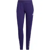 Adidas Tiro 25 Competition Pants Violet M / Regular Femme