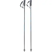 Fischer Rc4 Noize Poles Argenté 115 cm