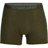Icebreaker Sous-vêtements de sport '150 Anatomica' gris / olive