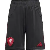 Adidas Pantalon de sport 'Liverpool FC 25/26' rouge / noir / blanc