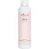 Pudderdåserne Spray capillaire 250 ml (250 ml)