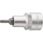 Magni FORTIS Embout de vis 1/2'TX20x 55mm