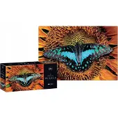 Interdruk Puzzle 250 Nature colorée 2 Papillon