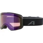 Alpina Masque de ski