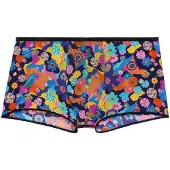 Hom Boxer court