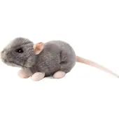 Tobar Animigos Monde De La Nature Rat Couineur