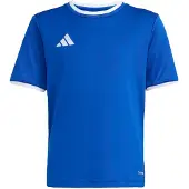 Adidas T-Shirt fonctionnel 'ENT26' bleu roi / blanc