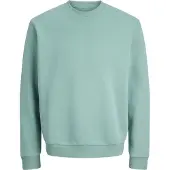 Jack & Jones Bradley Plus Size Sweatshirt Vert 3XL / Regular Homme