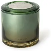 Illume Bougie Déclaration Terra Tobacco marron