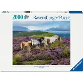 Ravensburger Puzzle Chevaux sauvages dans la bruyère - 2000 pièces.