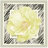 Liu Jo Écharpe '2A6053 T2745' jaune clair / gris clair / noir