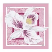 Liu Jo Écharpe '2A6053 T2745' rose clair