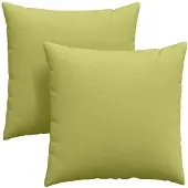 vidaXL Coussins de canapé 2 pcs Vert clair 80 x 80 cm tissu