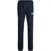 Jack & Jones Pantalon 'Gordon' bleu marine / blanc