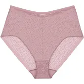 Triumph Slip rose