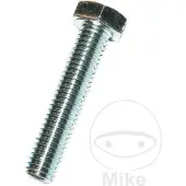 Dresselhaus M6 X 25 Mm Hexagonal Screw 100 Units Argenté