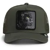 Goorin Bros Panther Cap - Vert, Vert