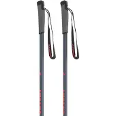 Atomic Pro Junior Poles Argenté 80 cm Enfants