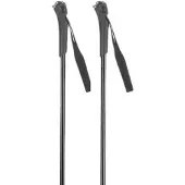 Rossignol Ft-501 Junior Poles Argenté 130 cm Enfants