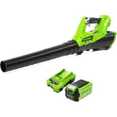 Greenworks Souffleur de feuilles électrique G40AB avec batterie 40 V 2 Ah 2400807UA