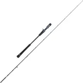 Penn Canne Jigging Batallion Solid