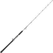 Penn Battalion Solid Boat Spiral Jig Baitcasting Rod Argenté 1.70 m / 500 g