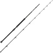 Penn Regiment Iv Boat Braid Spinning Rod Argenté 2.49 m / 12-20 Lbs