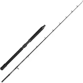 Penn Canne Baitcasting Conflict Deep Drop
