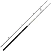 Penn Wrath Ii Spinning Rod Argenté 2.74 m / 20-60 g