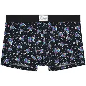 Hom Boxer