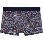 Hom Boxer