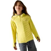 Regatta Andreson Jacket Jaune 10-11 Years Enfants