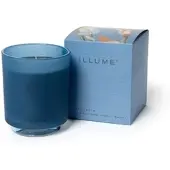Illume Bougie Citrus Crush Box Bleu