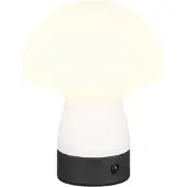 TRIO Reality Leuchten Lampe de table DOOLEY DH 14x18 cm blanc Lampe de table Lampe à pince