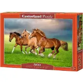 Castorland Puzzle Chevaux - 500 pièces Puzzle pour enfants