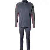 Puma Survêtements 'IndividualLIGA' marine / graphite / rouge sang
