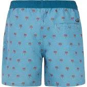 Protest Parco Swimming Shorts Bleu S Homme
