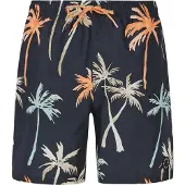 Protest Hommes, Short, Herren PRTHear Strandshorts grau, Gris, (XL)