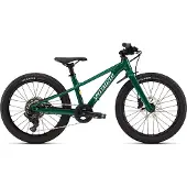 Specialized Riprock 20´´ Acolyte 2026 Mtb Bike Vert Garçon