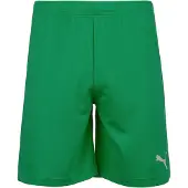 Puma Pantalon de sport 'TeamRise' vert / blanc
