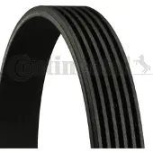 CONTITECH Courroie trapézoïdale à nervures CONTINENTAL 6PK1590