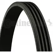 CONTINENTAL CTAM 4PK985 Multiriem
