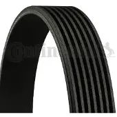 CONTITECH Courroie trapézoïdale à nervures CONTINENTAL 7PK1125