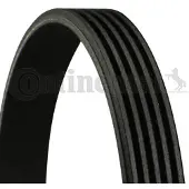 CONTITECH Courroie trapézoïdale à nervures CONTINENTAL 5PK1646