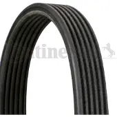 CONTITECH Courroie trapézoïdale à nervures CONTINENTAL 6DPK1841